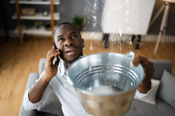 Best Flooded house restoration  in Harbour Heights, FL