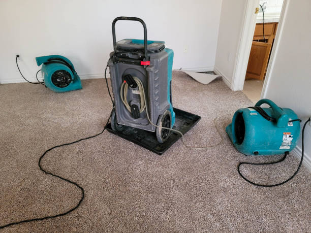 Best Flooded house restoration  in Harbour Heights, FL