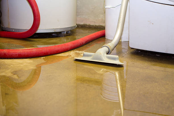 Harbour Heights, FL Water damage restoration Company