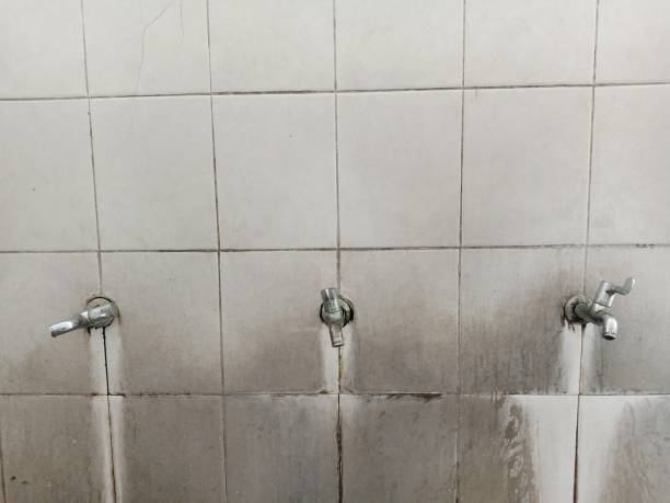 Best Fire Damage Restoration  in Harbour Heights, FL