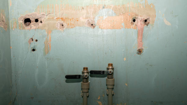 Water damage restoration experts in Harbour Heights, FL
