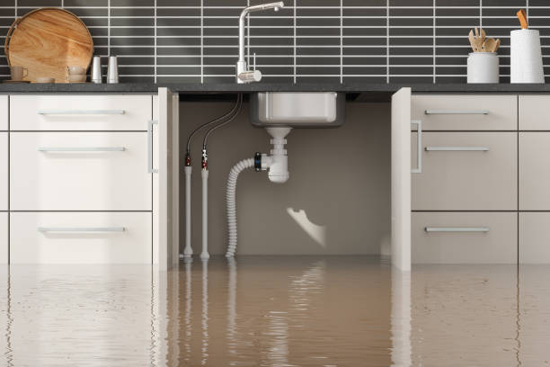 Best Water damage restoration near me  in Harbour Heights, FL