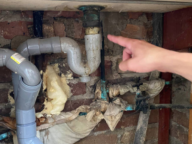 Best Local water damage restoration  in Harbour Heights, FL