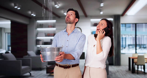 Best Ceiling water damage repair  in Harbour Heights, FL
