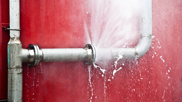 Best Fire Damage Restoration  in Harbour Heights, FL