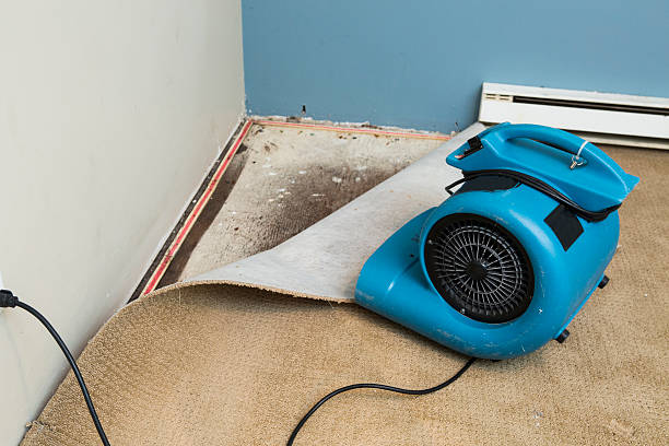 Fire Damage Restoration in Harbour Heights, FL